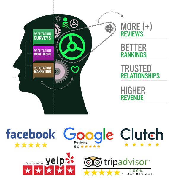 online reputation management and review